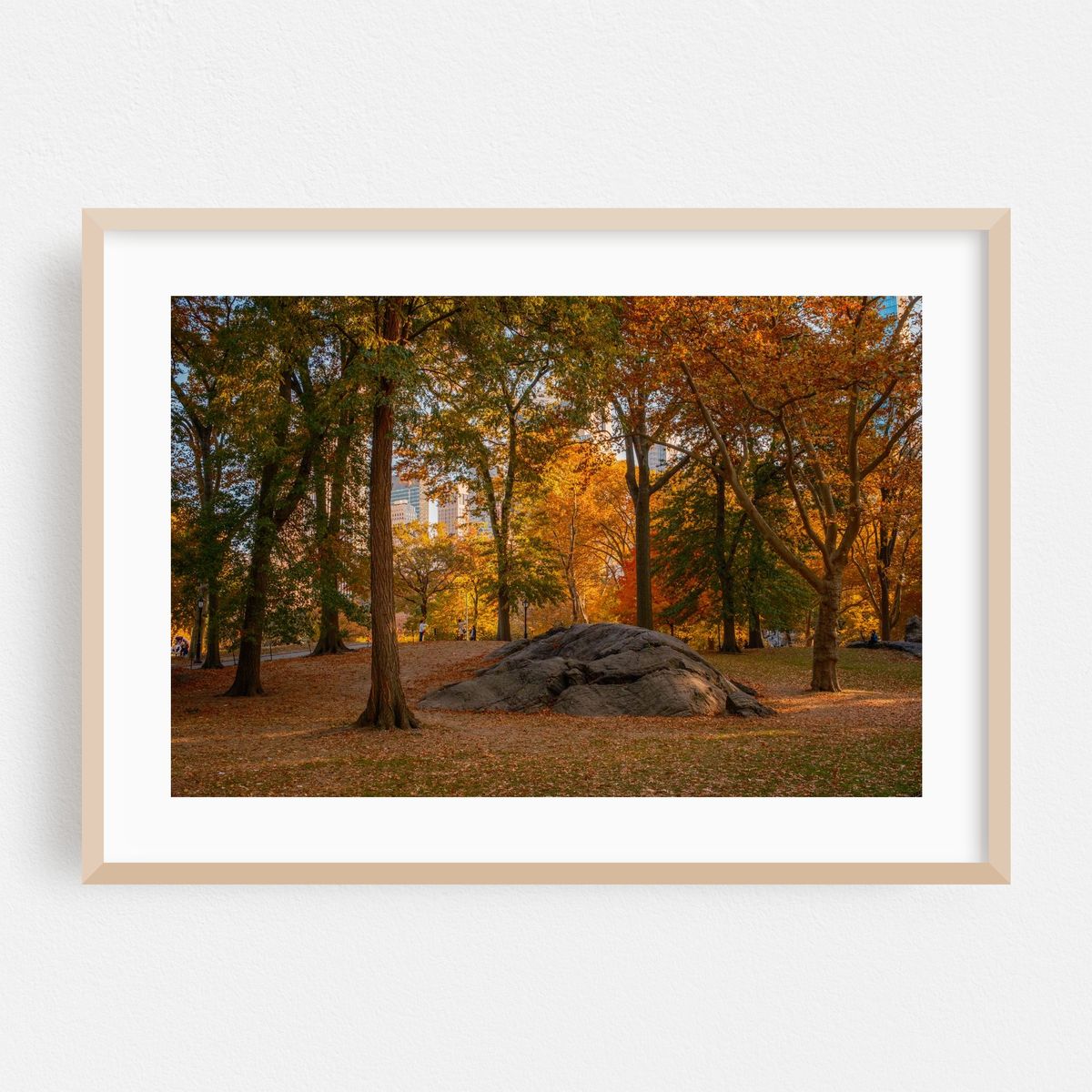 Autumn in Central Park, New York – image 1 of 6