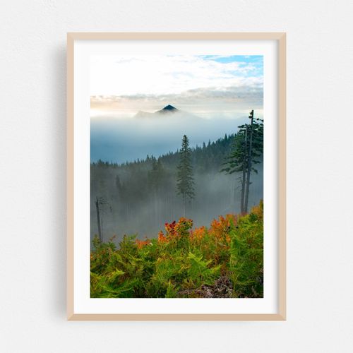 Autumn Fog 1 2025