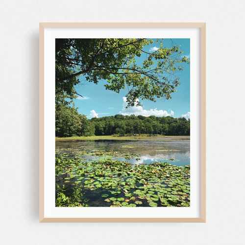 Teatown Lake