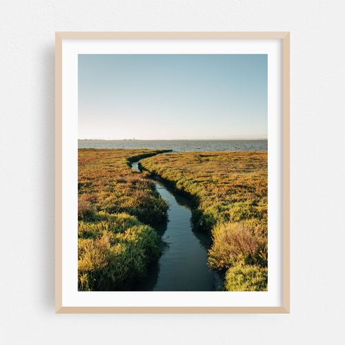 Baylands Nature Preserve, Palo Alto 01