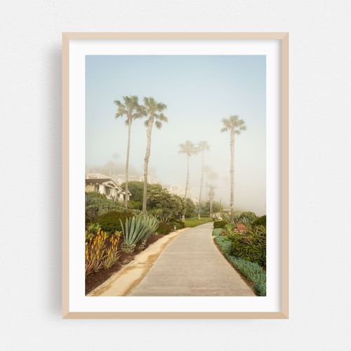 Treasure Island Park, Laguna Beach 05