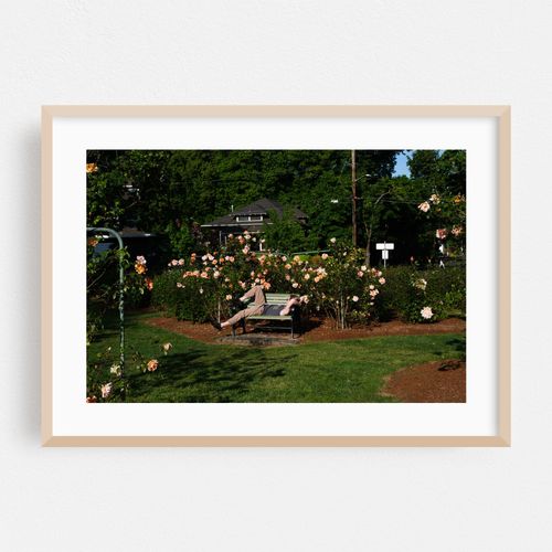 Rose Garden Reverie in Ladd's Addition
