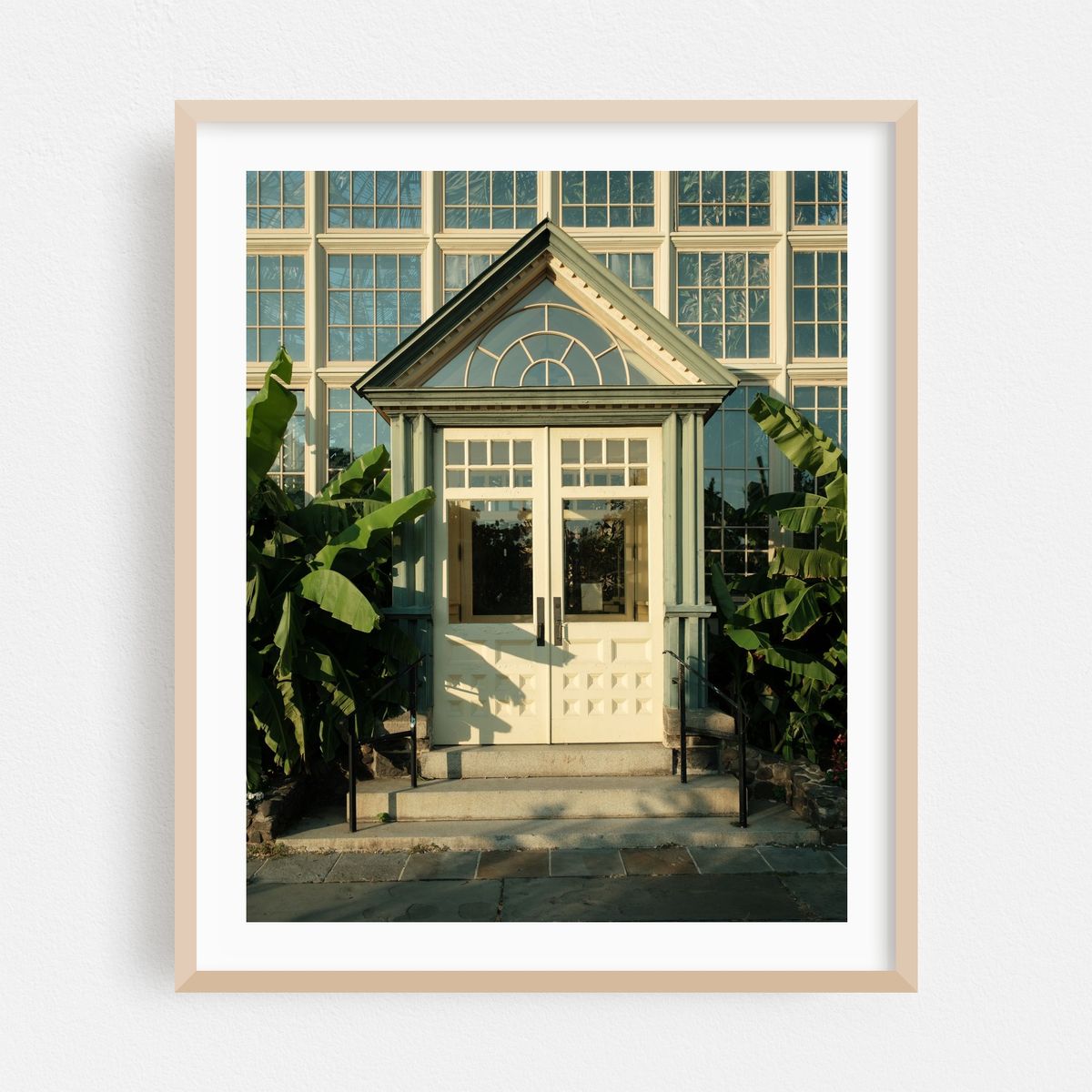 Rawlings Conservatory, Baltimore 04 – image 1 of 12