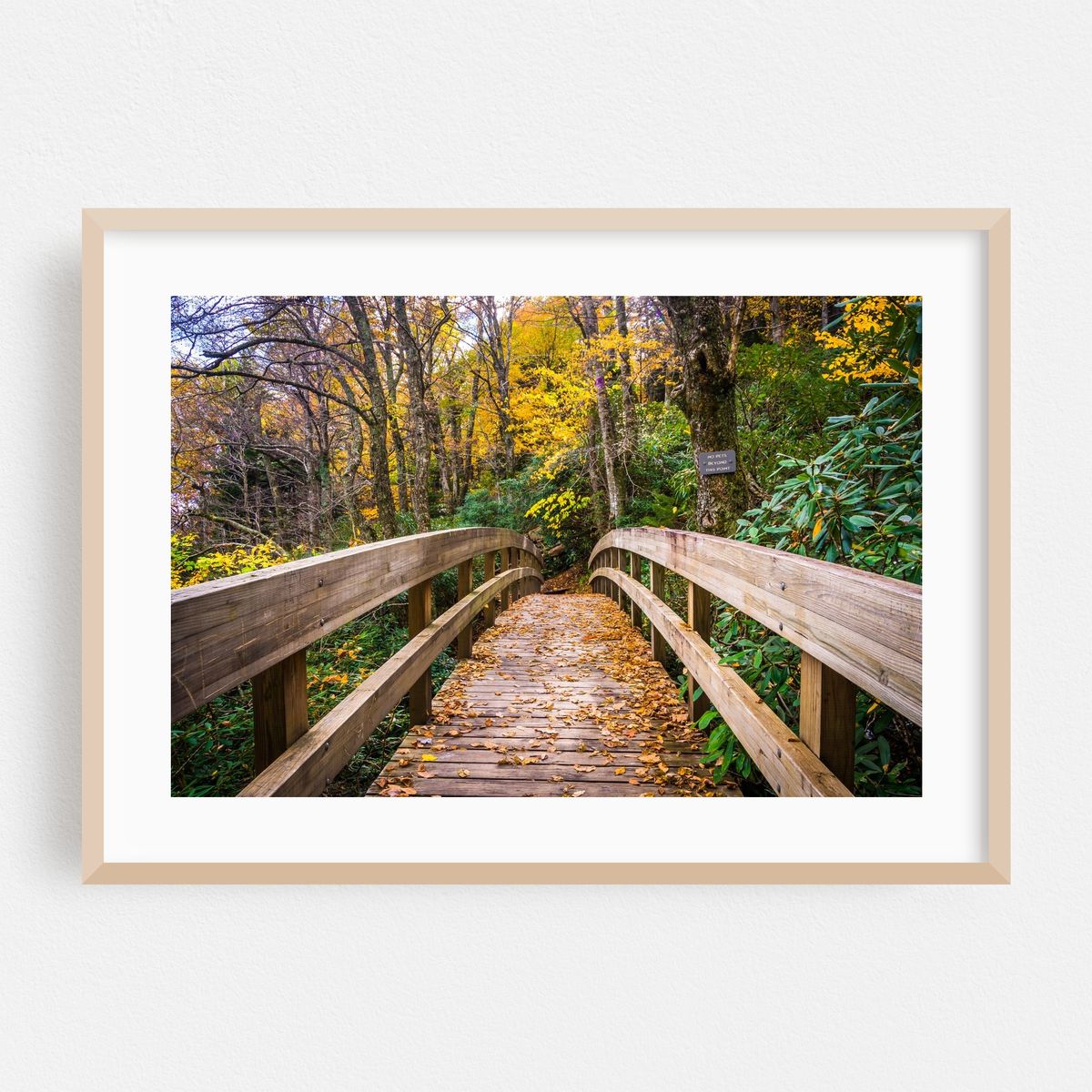 Crossing Tanawha – image 1 of 6