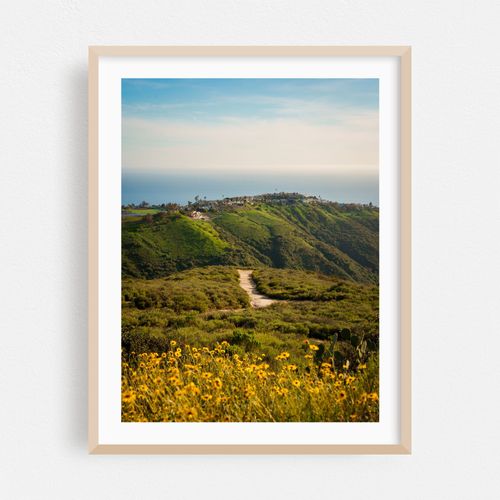 Top of the World, Laguna Beach 03