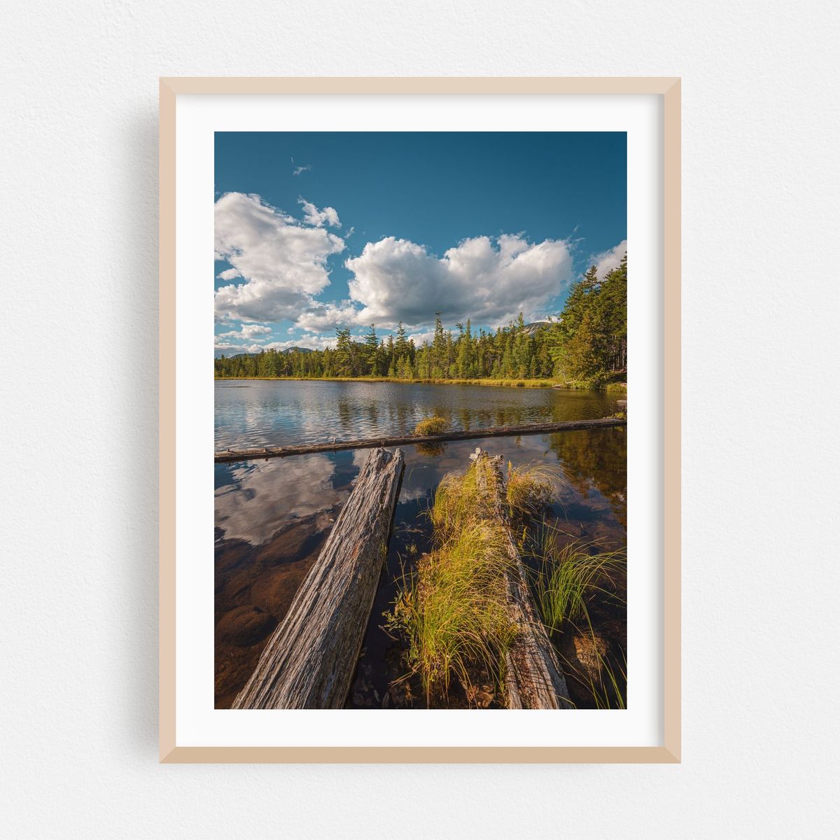 Pond in Baxter 02 – image 1 of 15