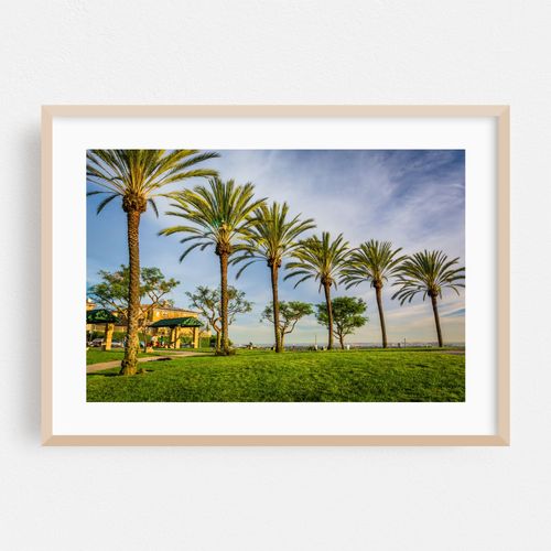 Hilltop Park Palms