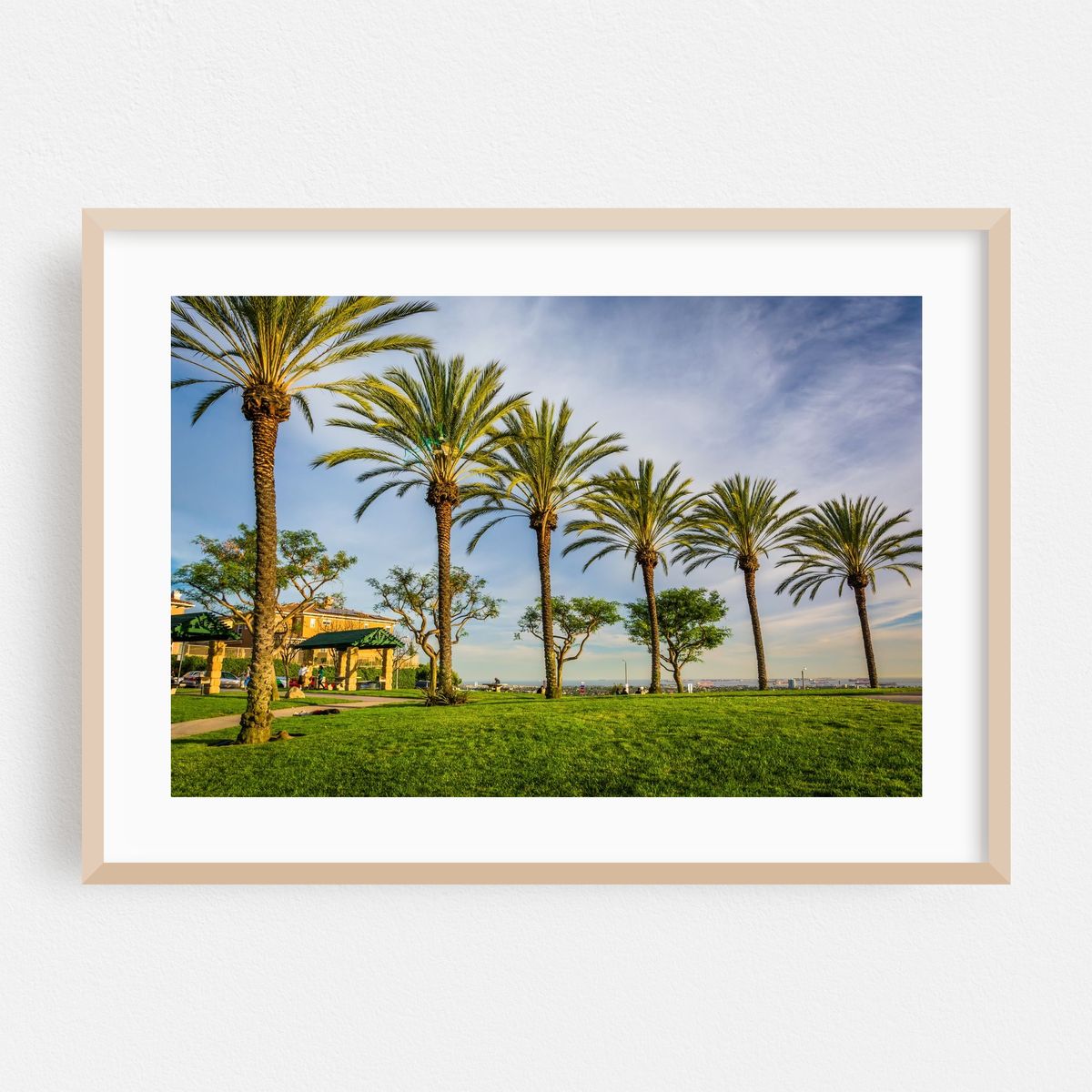 Hilltop Park Palms – image 1 of 6