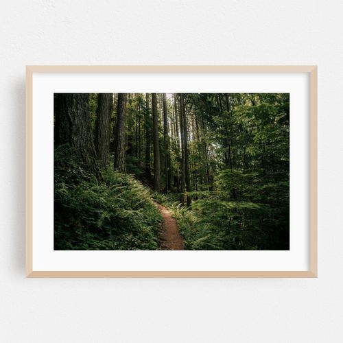 Happy Trails II