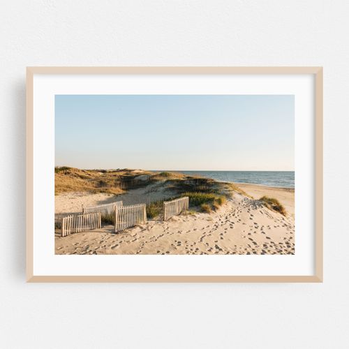Outer Banks Dunes 01