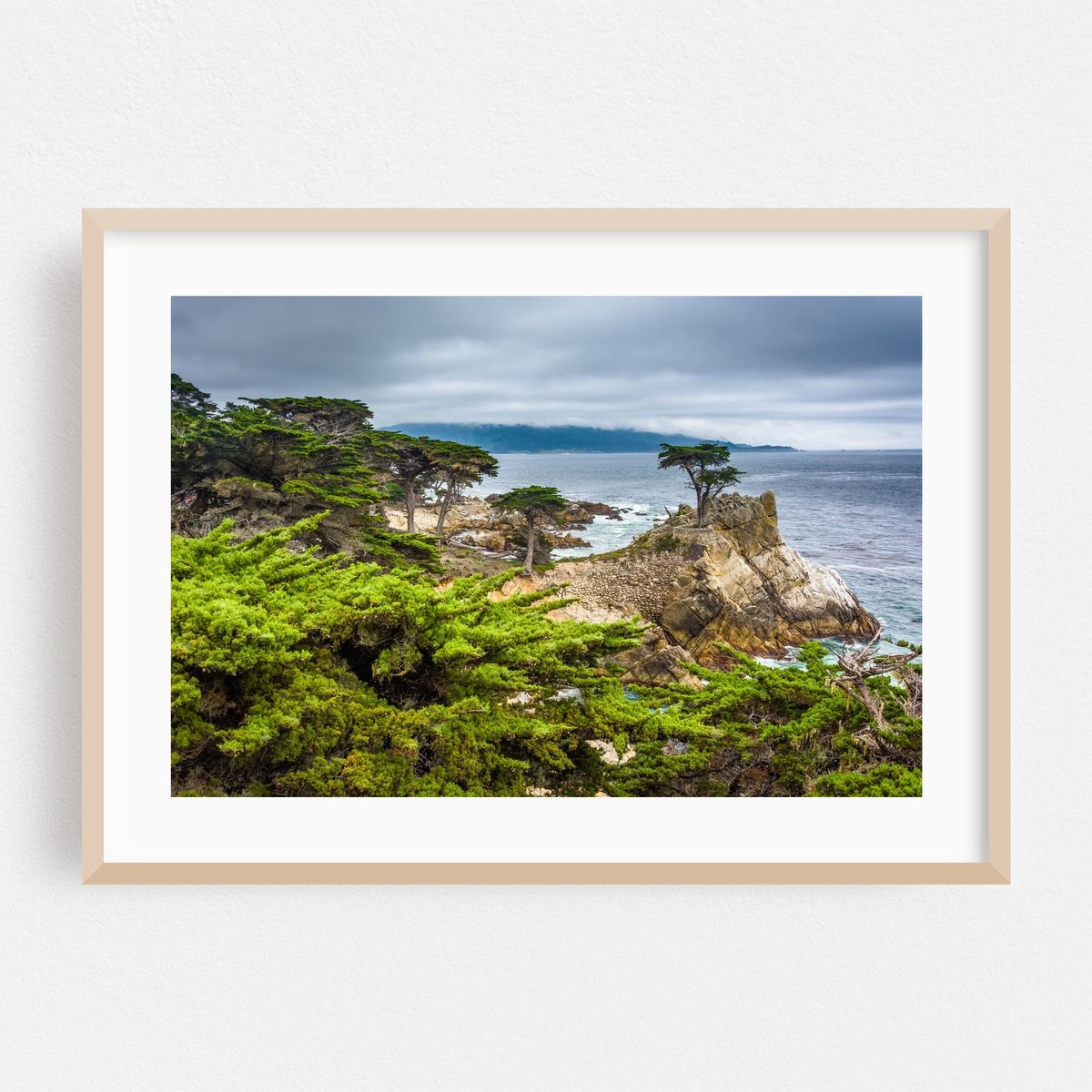 The Lone Cypress – image 1 of 9