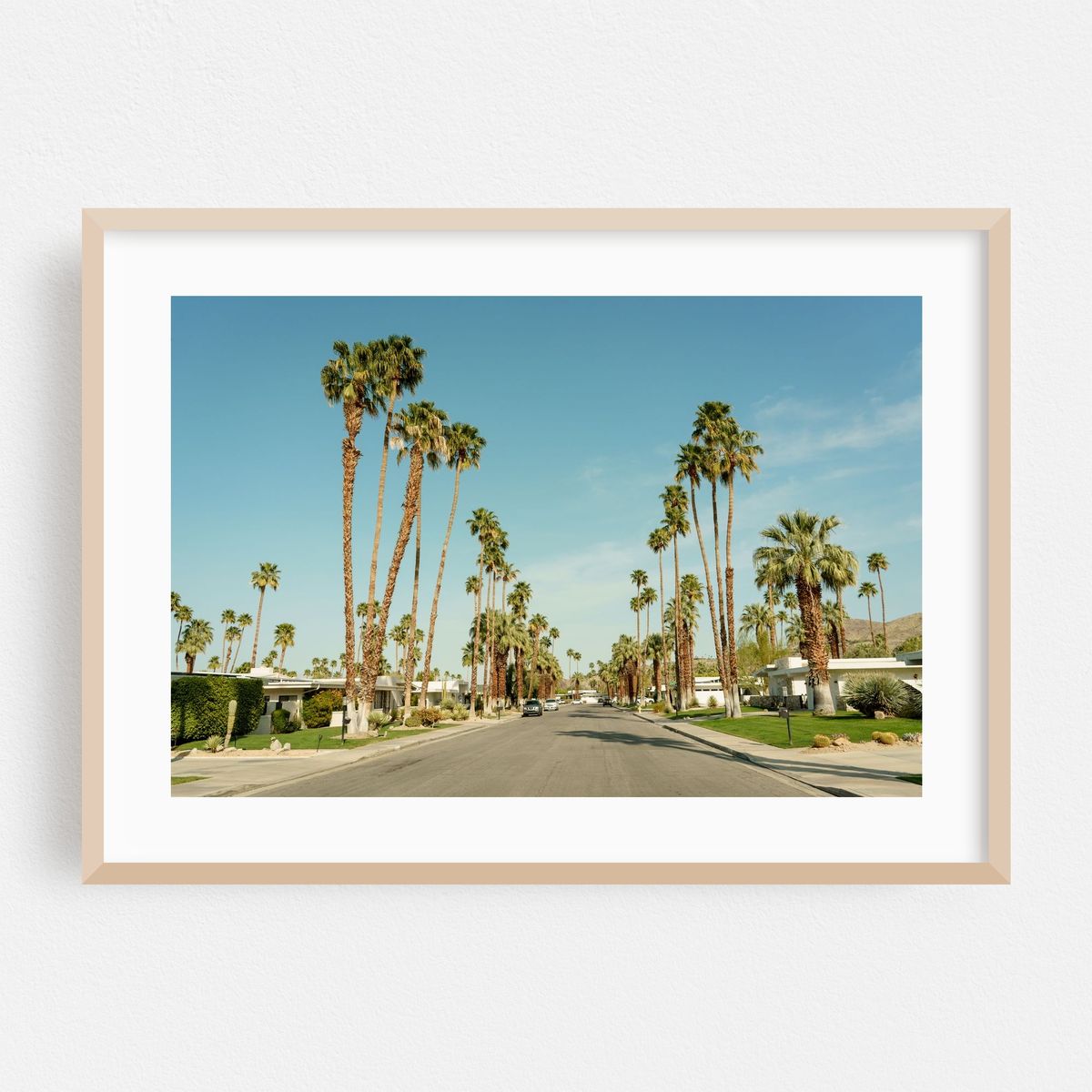 Palm Trees in Palm Springs 02 – image 1 of 6