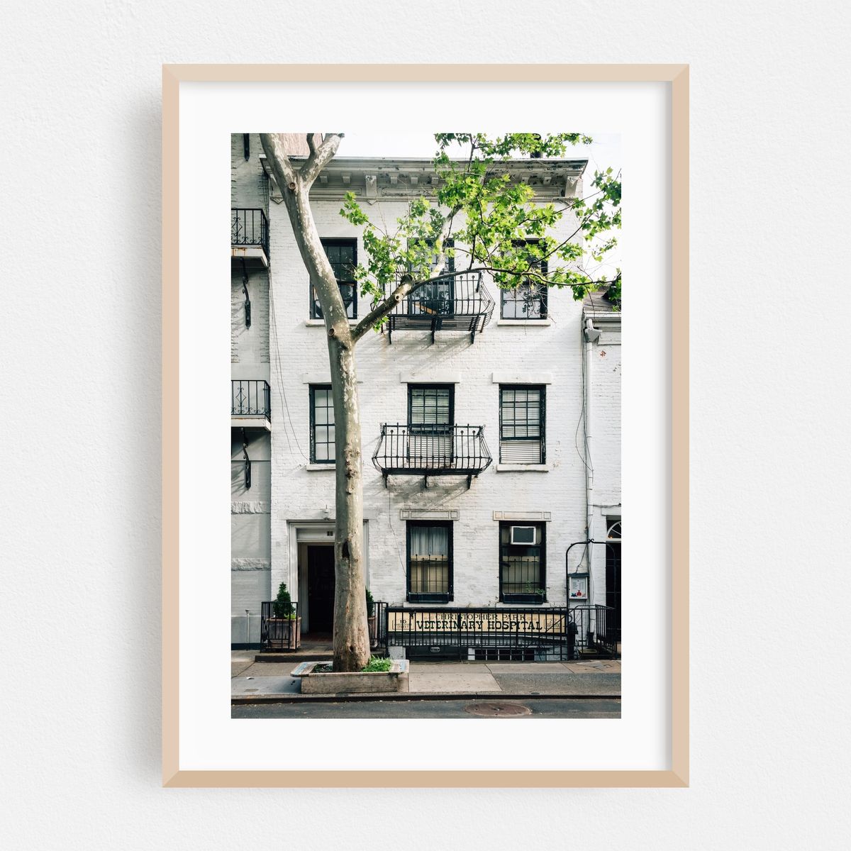 The White House – image 1 of 16