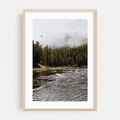 Lost Lake II