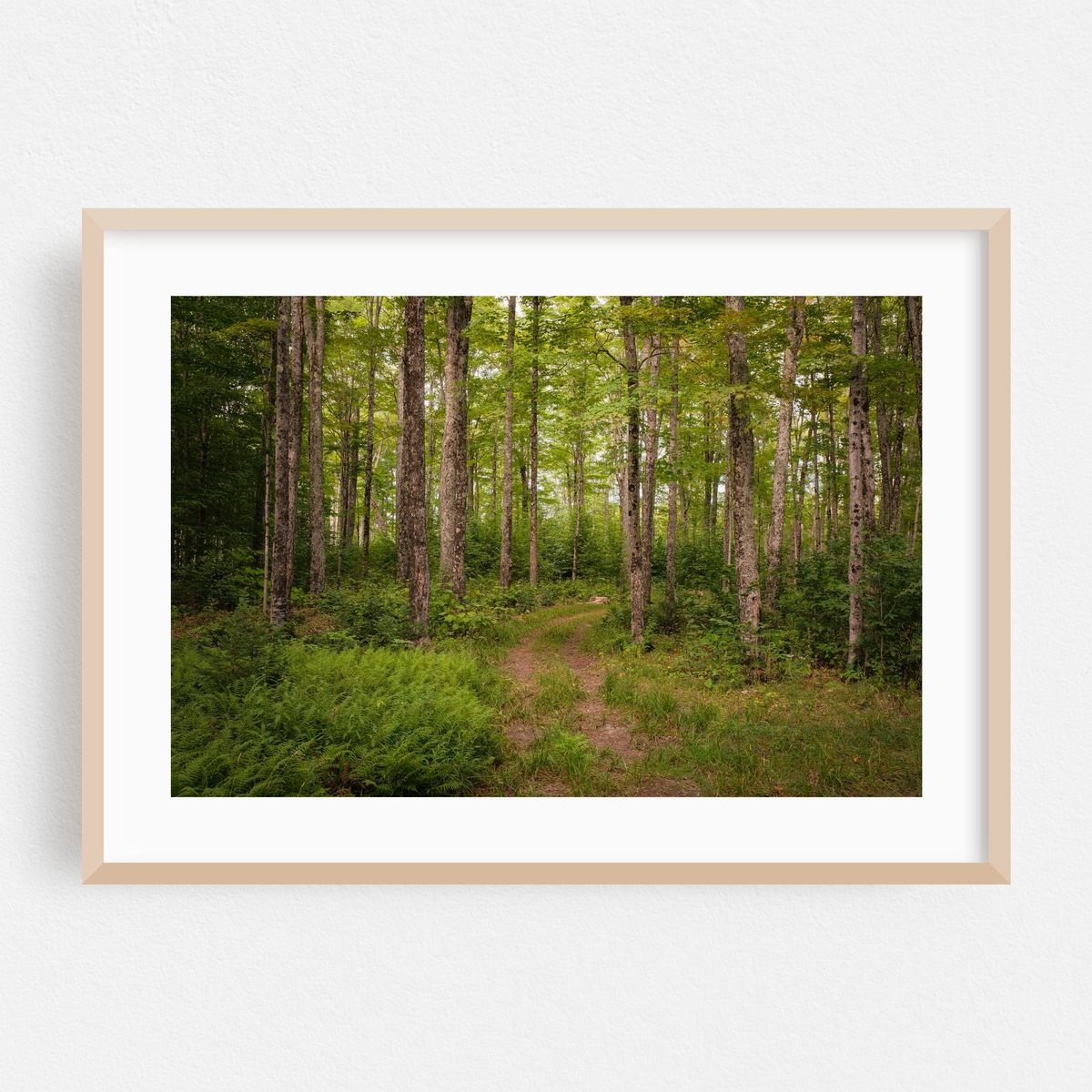 Trail in Burke – image 1 of 6