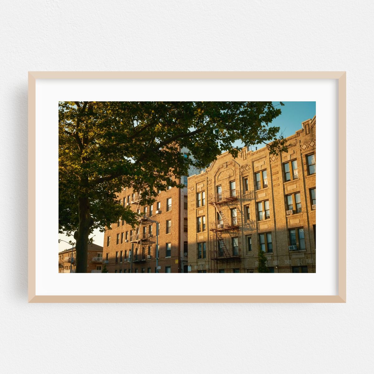 Bensonhurst Architectural – image 1 of 6