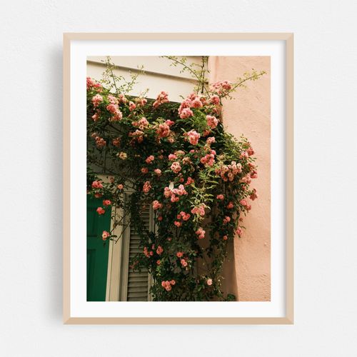 Blossoms, Charleston