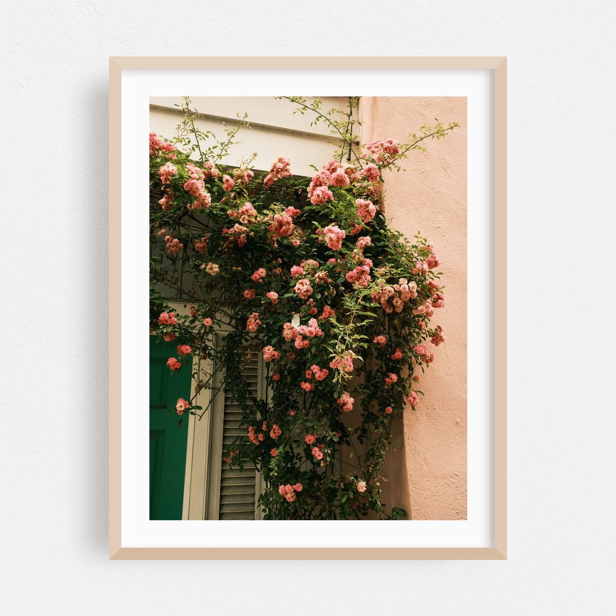 Blossoms, Charleston – image 1 of 3