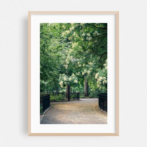 Tompkins Square Park 01