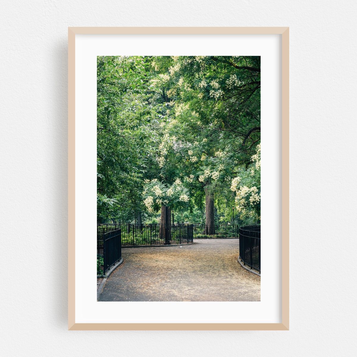 Tompkins Square Park 01 – image 1 of 16