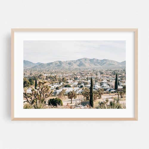 Yucca Valley Views