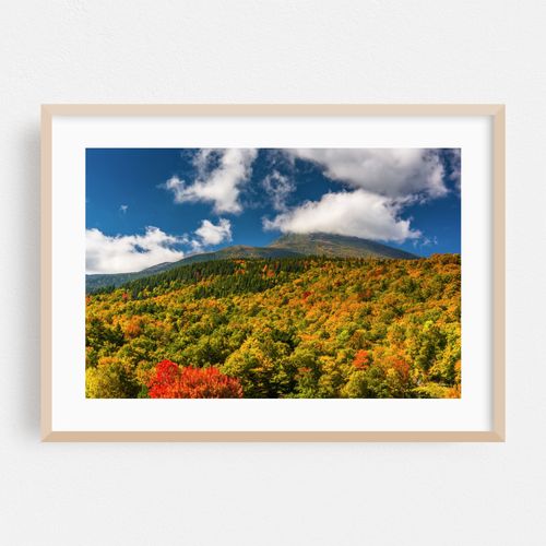Presidential Autumn 01
