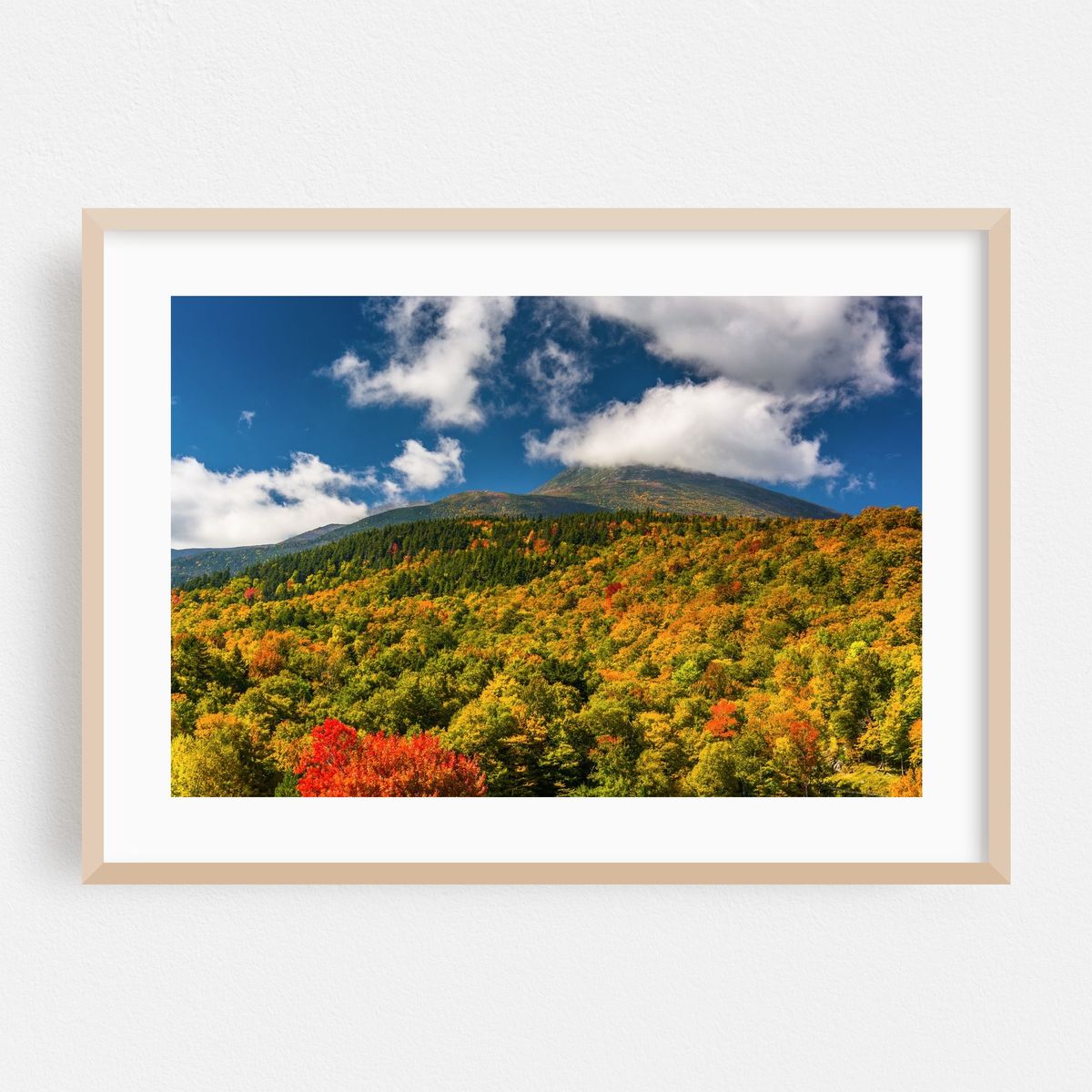 Presidential Autumn 01 – image 1 of 6