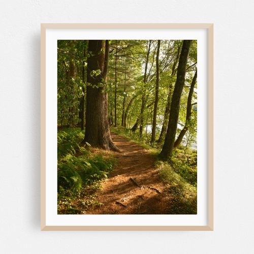 Bay Circuit Trail at Sudbury Reservoir 01