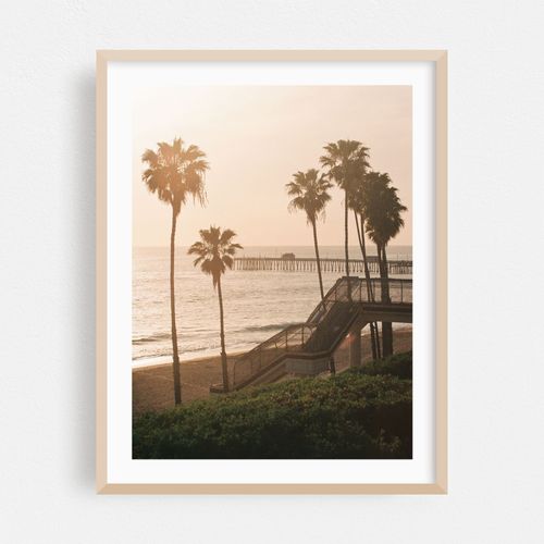 Palms in San Clemente 02