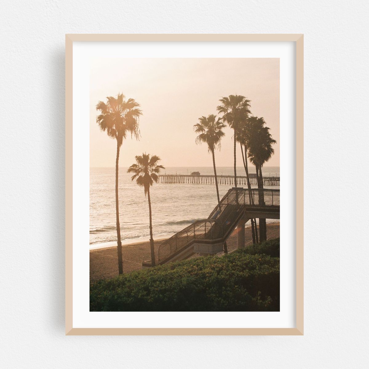 Palms in San Clemente 02 – image 1 of 16