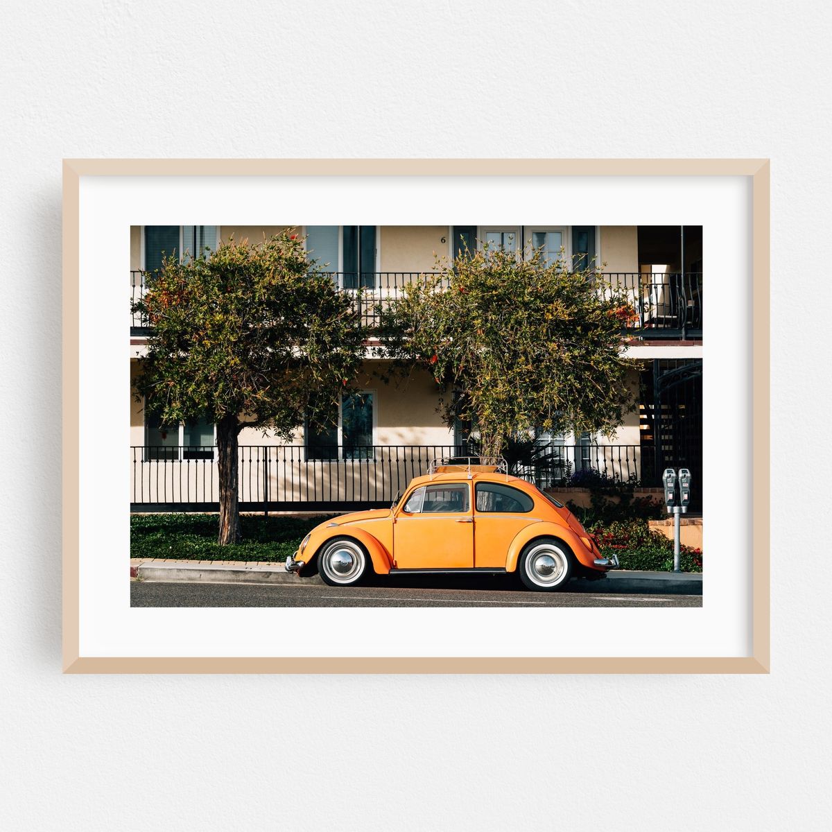 Beetle, PCH 01 – image 1 of 6