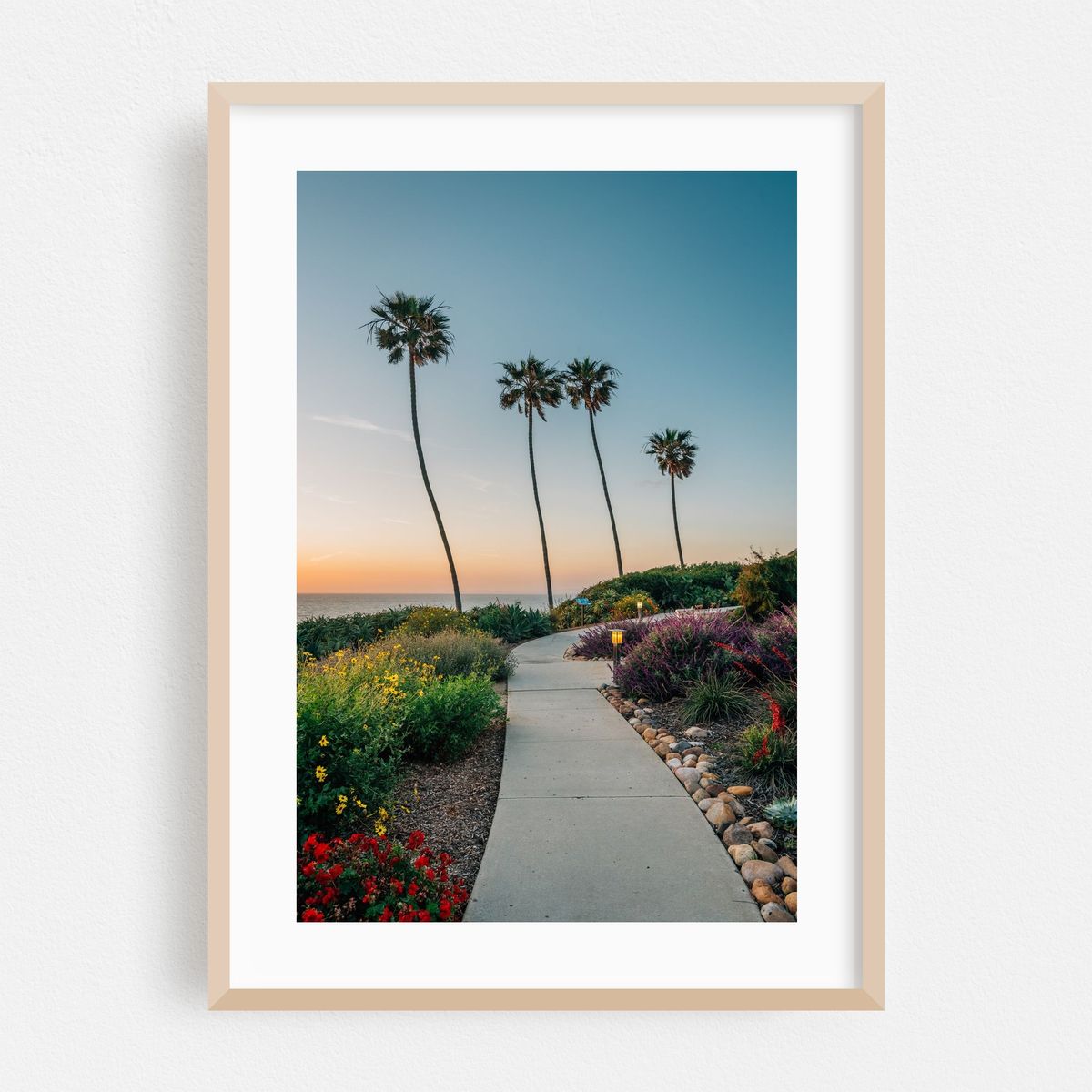La Jolla Palms 02 – image 1 of 16