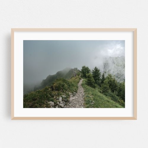 Pathway Through the Mist