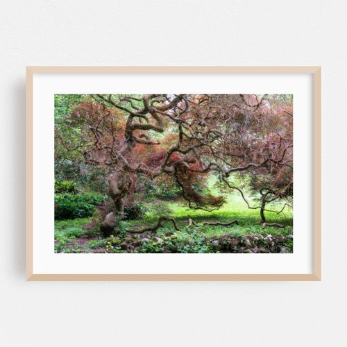 Italian Gardens - Romantic Garden of Ninfa 6