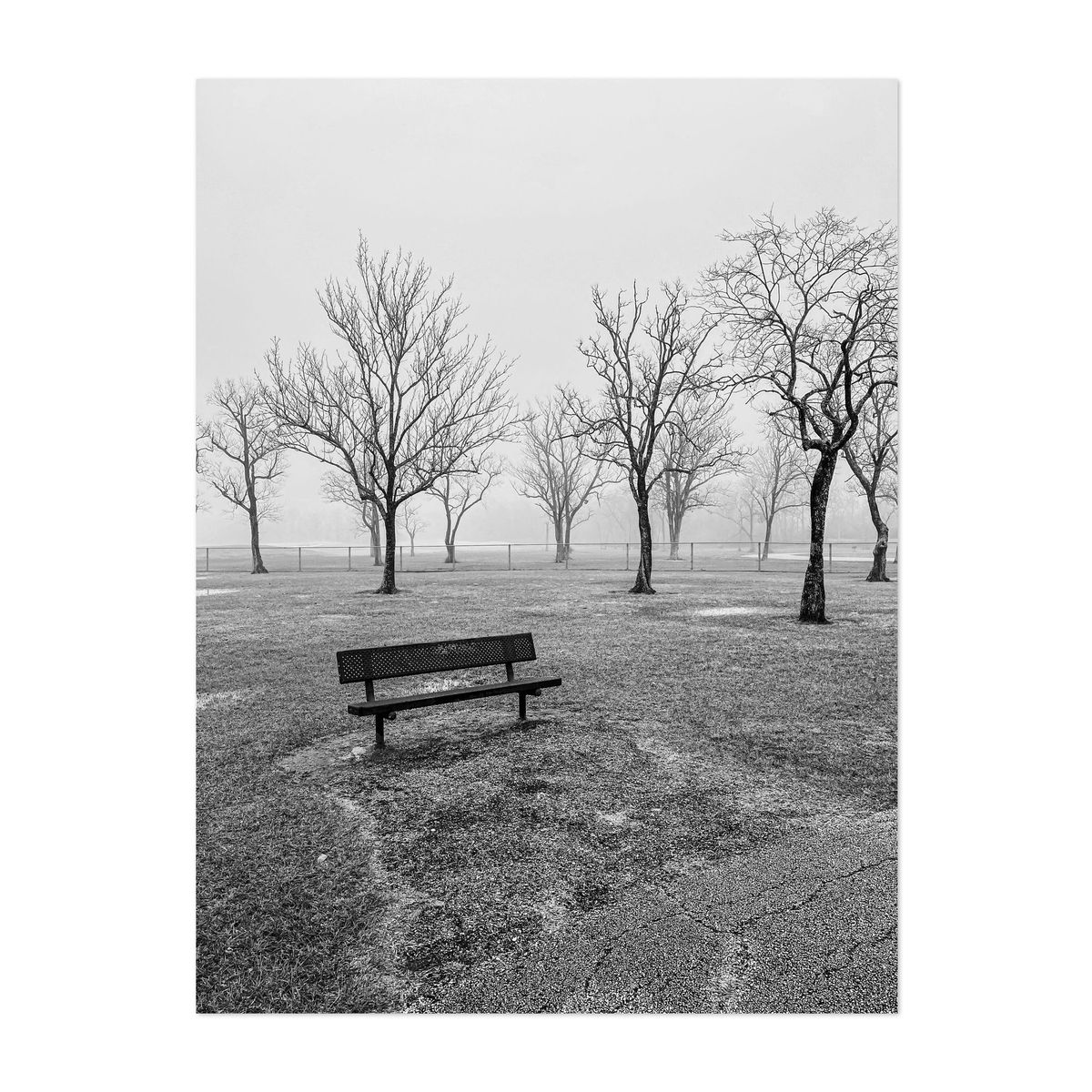 Empty Bench at Tom Bass Park – image 1 of 2