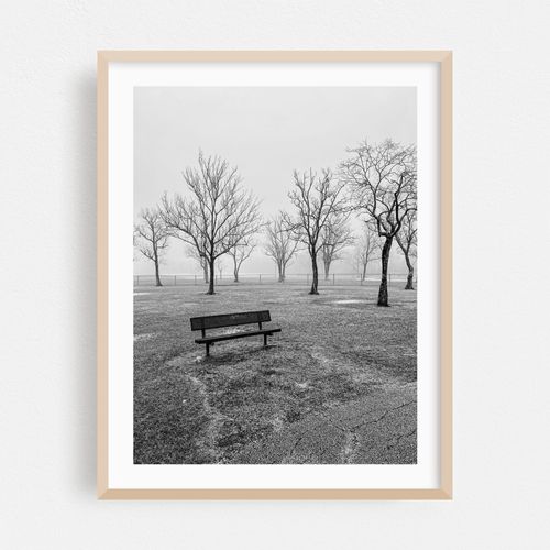 Empty Bench at Tom Bass Park