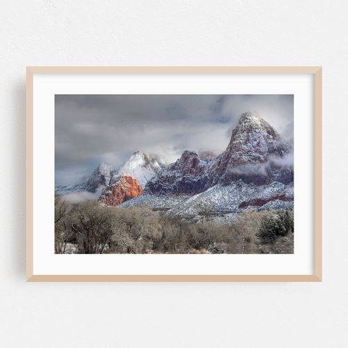 Zion Winter