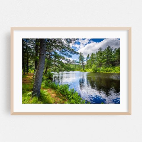 Bear Brook Reflections