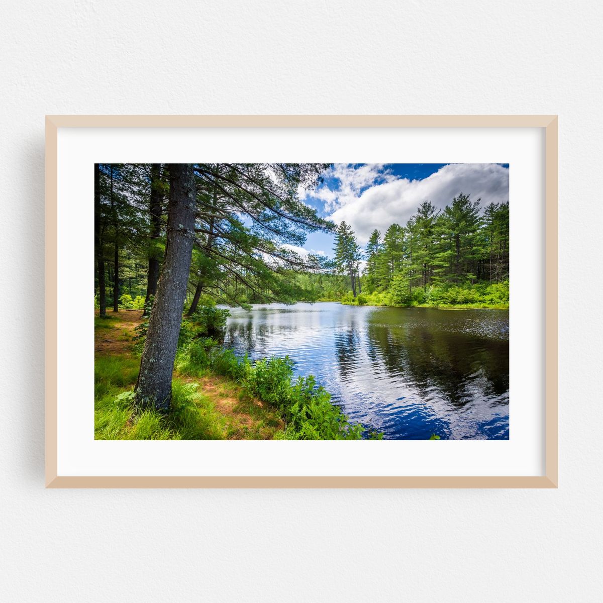 Bear Brook Reflections – image 1 of 6