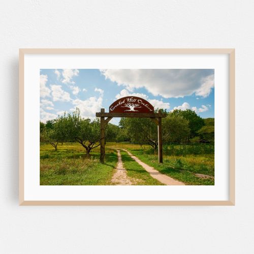 Crooked Hill Orchard, Hoyt Farm