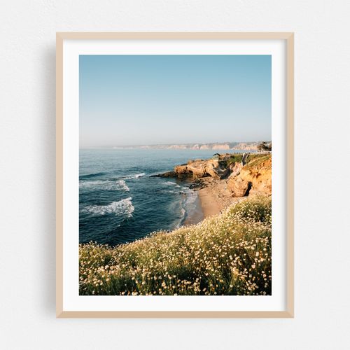 La Jolla Coastal 01