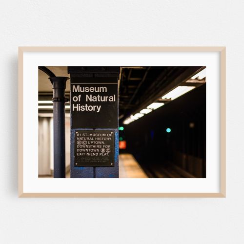 81st Street-Museum of Natural History Station 01