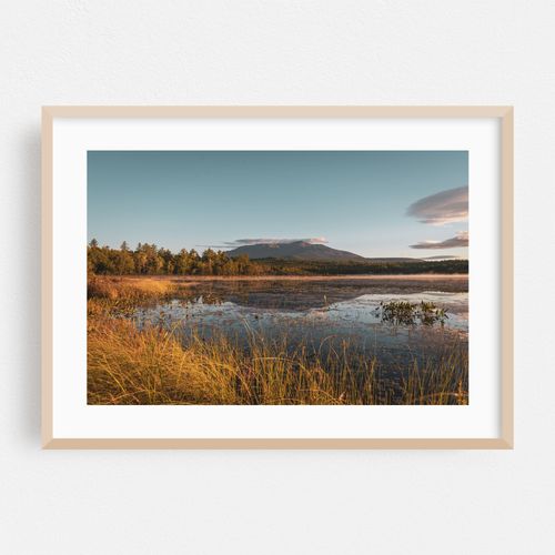 Pond near Baxter 01