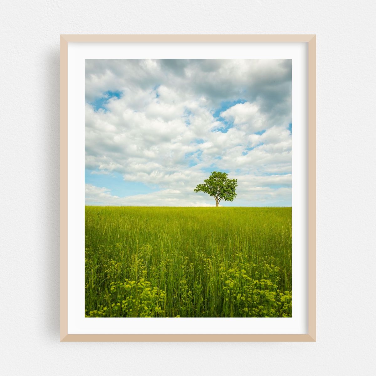 Lonely Tree 02 – image 1 of 12