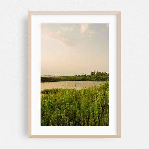 Green Island 01