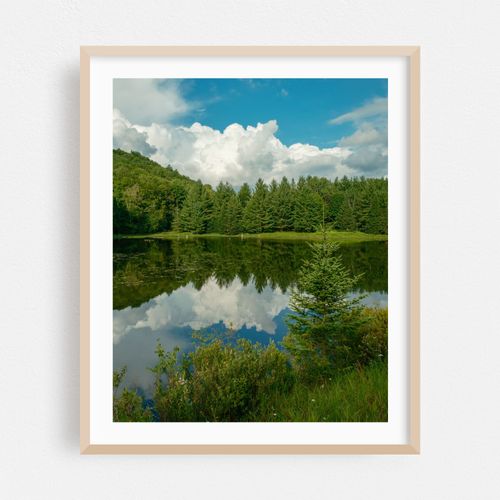 Lake Alma, Averys Place 07