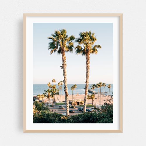 Palms, Corona del Mar 02