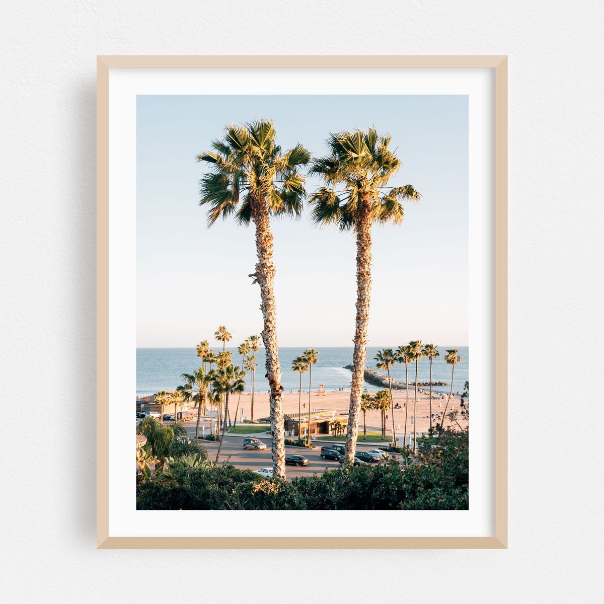 Palms, Corona del Mar 02 – image 1 of 12