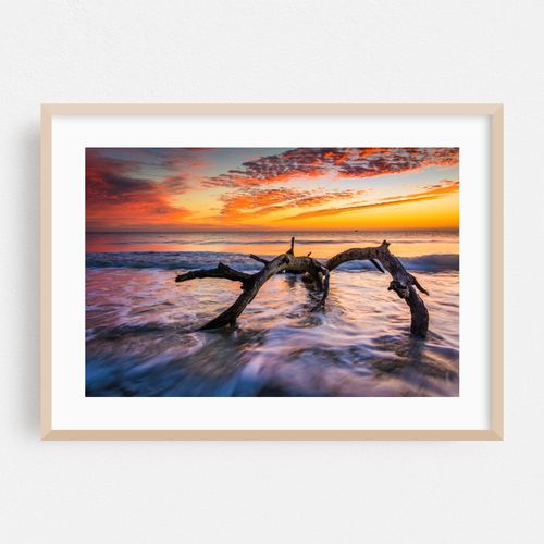 Driftwood Beach