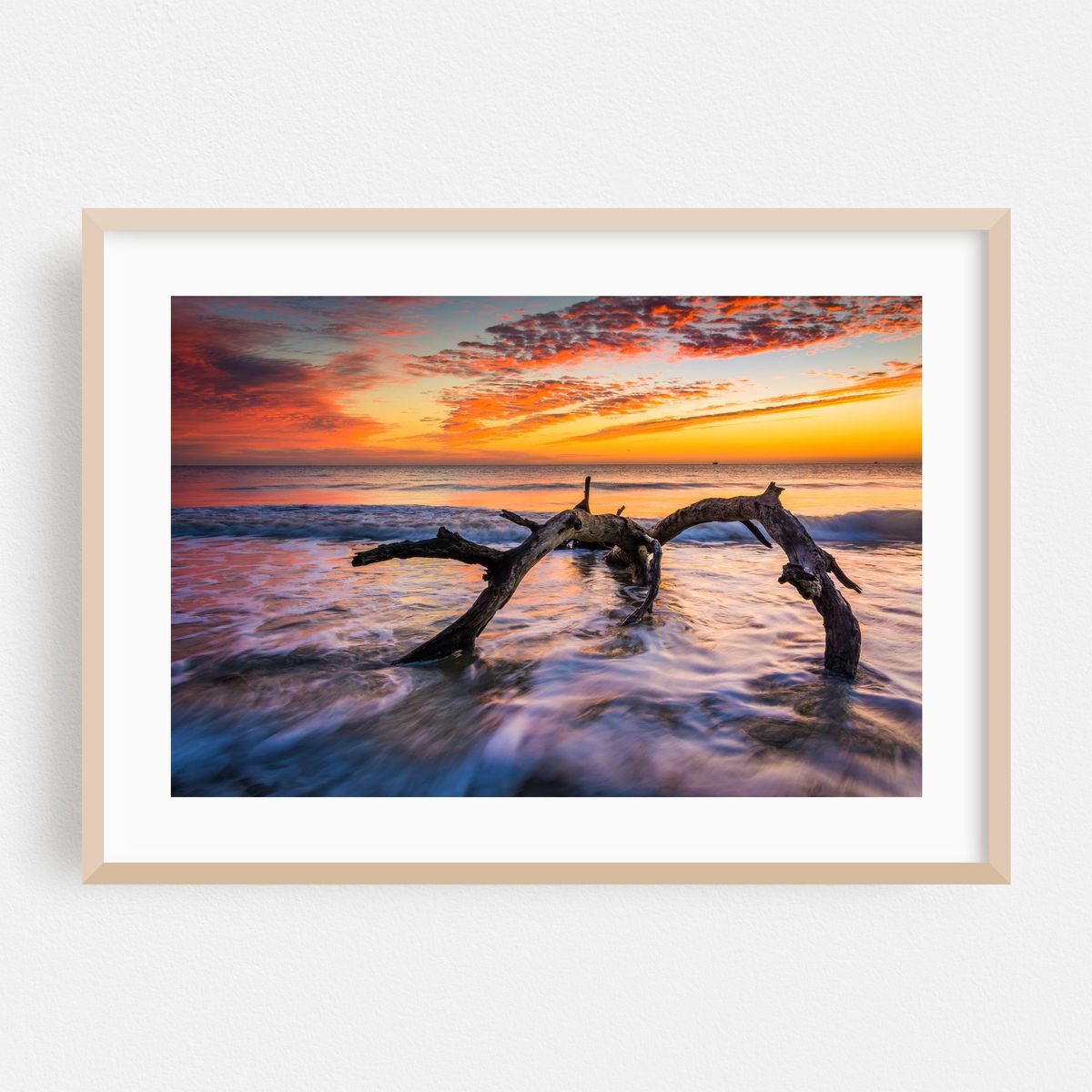 Driftwood Beach – image 1 of 9